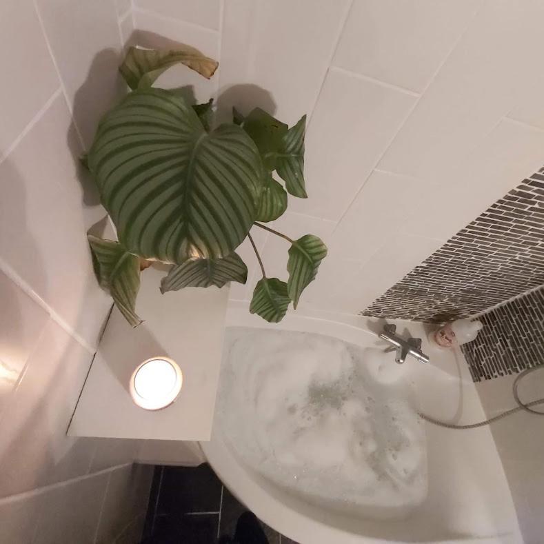 Hotel Au Pays D'Angeline La Pacaudière Zimmer foto